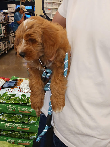 Pet Supply Store «Petco Animal Supplies», reviews and photos, 4840 N Pulaski Rd #100, Chicago, IL 60630, USA