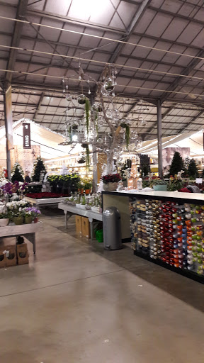 Fleuristes bon marché à Antwerp