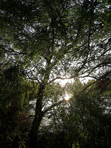 National Reserve «Riparian Preserve at Water Ranch», reviews and photos, 2757 E Guadalupe Rd, Gilbert, AZ 85234, USA