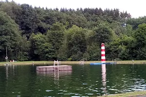 Natur Freibad Müsen image