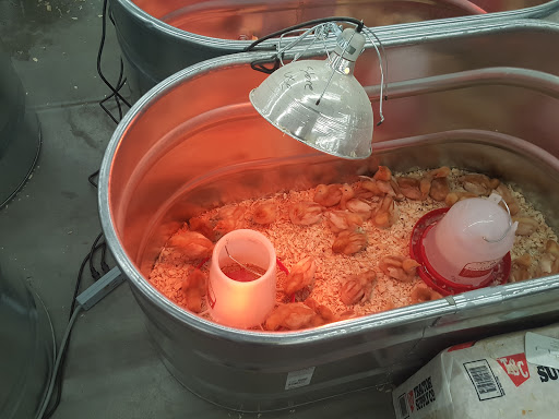 Home Improvement Store «Tractor Supply Co.», reviews and photos, 1360 Strickler Rd, Mount Joy, PA 17552, USA