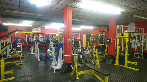 Gym One Ltd
