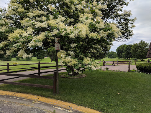 Golf Course «Dwan Golf Club», reviews and photos, 3301 W 110th St, Bloomington, MN 55431, USA