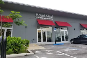 Mount Sinai Miami Shores image