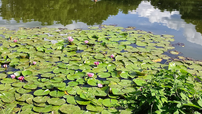 Nyírjesi tavak - Balassagyarmat
