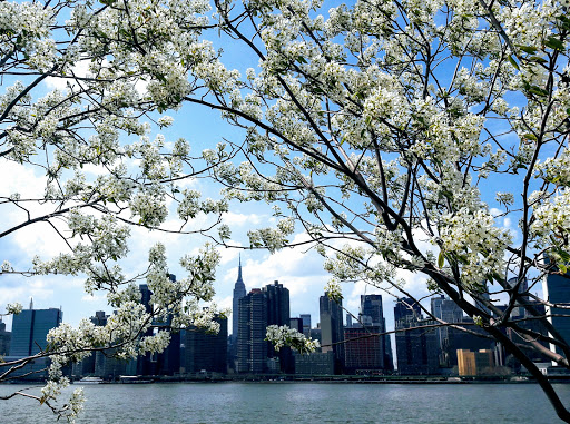 Park «Gantry Plaza State Park», reviews and photos, 4-09 47th Rd, Long Island City, NY 10007, USA