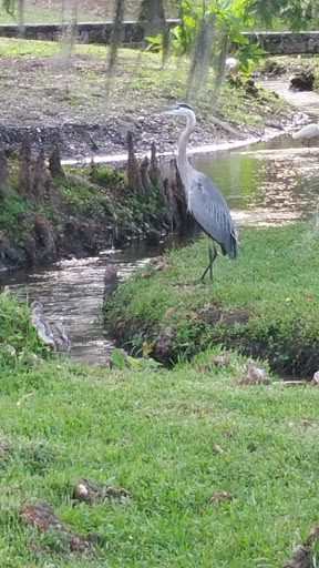 Country Club «Country Club of Orlando», reviews and photos, 1601 Country Club Dr, Orlando, FL 32804, USA