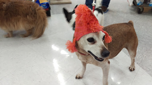 Pet Supply Store «Petco Animal Supplies», reviews and photos, G3559 Miller Rd, Flint, MI 48507, USA