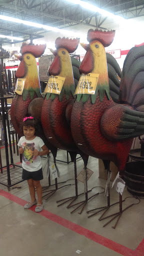 Home Improvement Store «Tractor Supply Co.», reviews and photos, 7135 N Expressway 281, Edinburg, TX 78542, USA