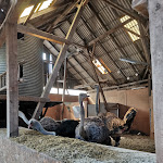 Photo n°1 de l'avis de Daniela.i fait le 22/05/2020 à 08:48 sur le  Hofladen Straussenfarm Ostseeblick à Hohenfelde