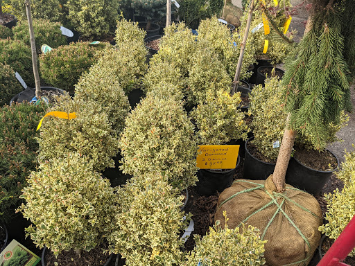 Market «Rising Up Garden Center, Landscape Design, & Florist», reviews and photos, 1314 St George Ave, Avenel, NJ 07001, USA