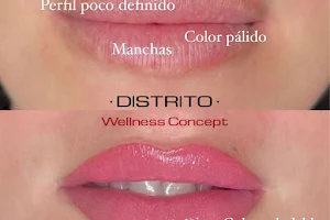 DISTRITO WELLNESS CONCEPT - Microblading y Micropigmentación image