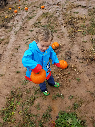 Produce Market «Solly Brothers», reviews and photos, 707 Almshouse Rd, Warminster, PA 18974, USA