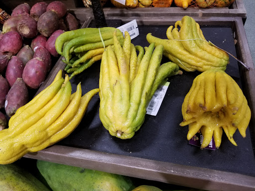 Shopping Mall «Essex Green Shopping Center», reviews and photos, 495 Prospect Ave, West Orange, NJ 07052, USA