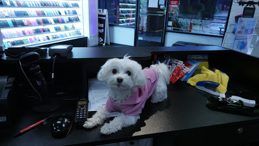 My Cell Repair - phones, computers and tech image