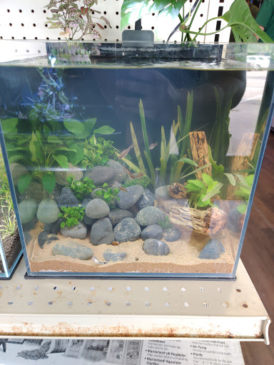 Aquarium «Rivers To Reefs Aquariums», reviews and photos, 1362 Cherry Bottom Rd, Gahanna, OH 43230, USA