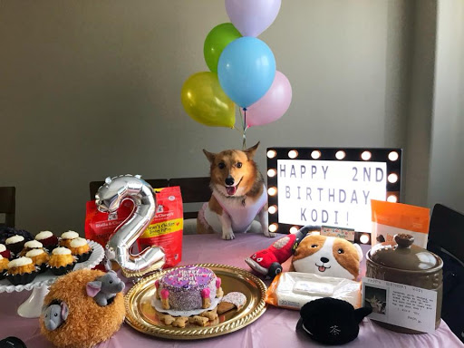 Pet Groomer «Woof Gang Bakery & Grooming Las Vegas», reviews and photos, 7080 N Durango Dr #140, Las Vegas, NV 89149, USA