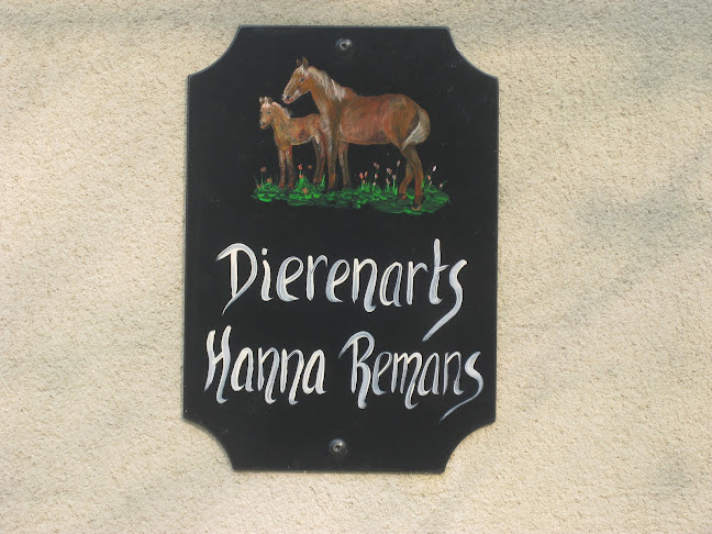 Dierenarts Hanna Remans - Lommel