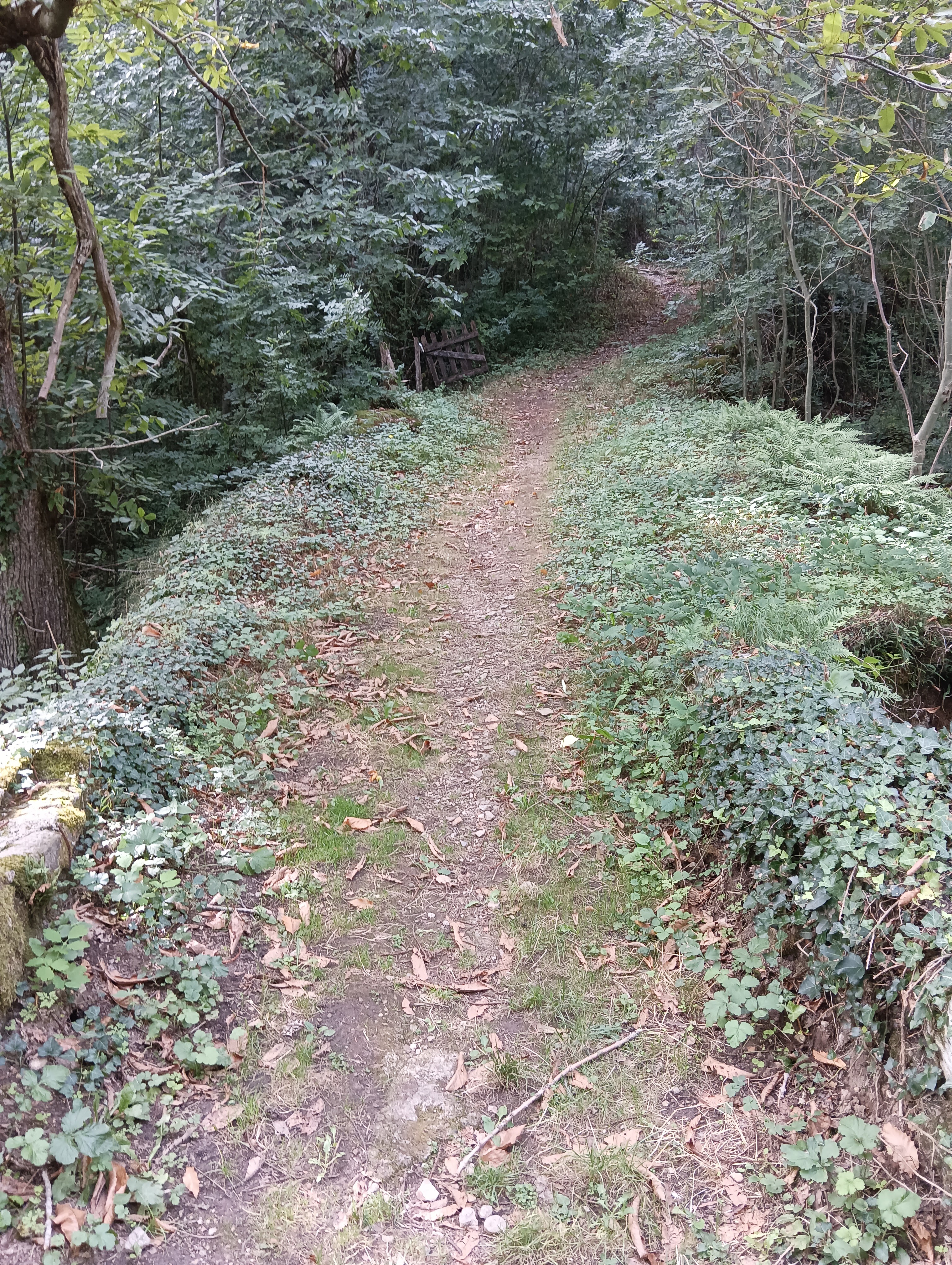 Photo n° 21 de l'avis de Bilbon.A fait le 06/09/2023 à 20:58