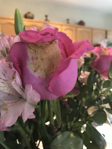 Florist «Miracle Flowers», reviews and photos, 610 E Bidwell St, Folsom, CA 95630, USA