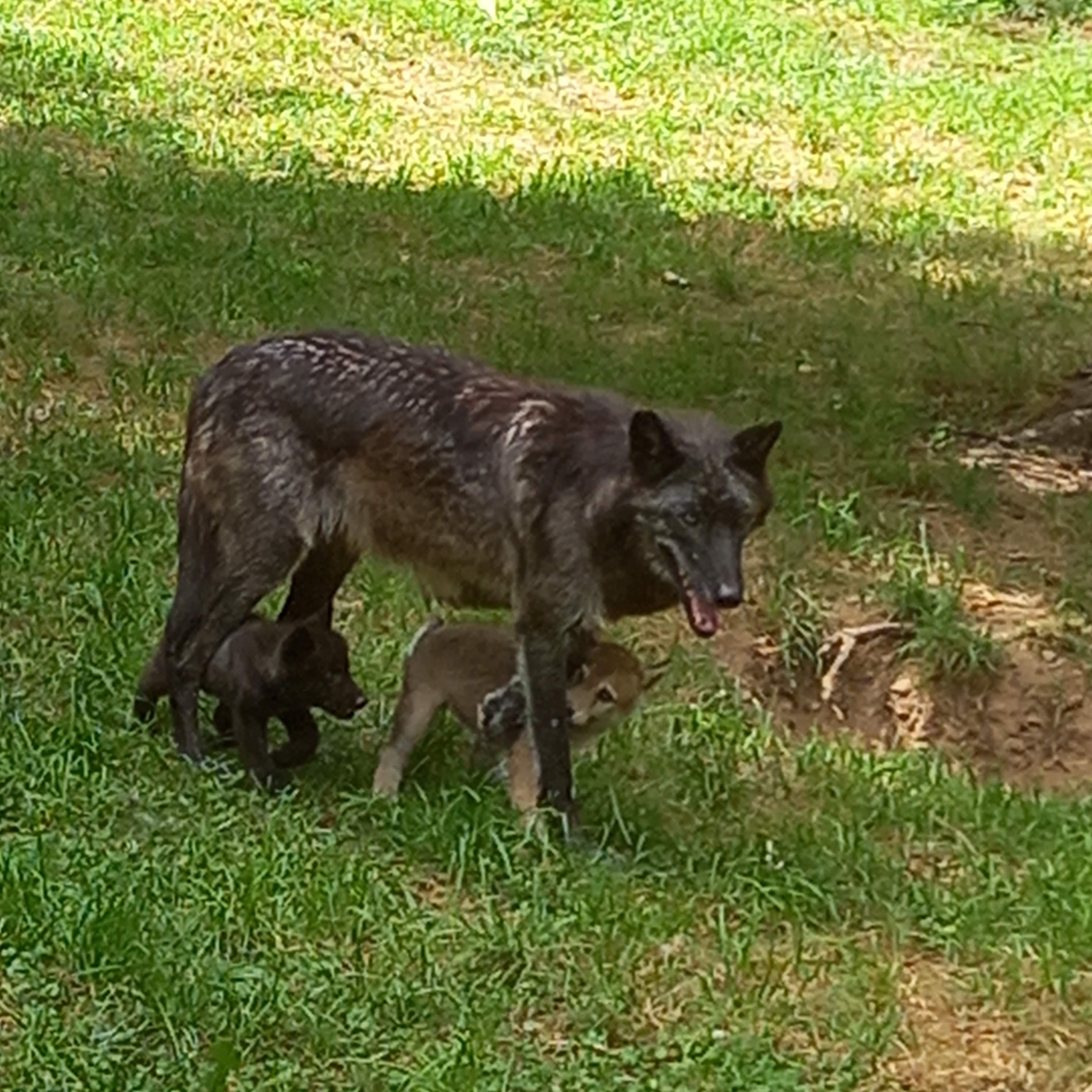 Photo n° 20 de l'avis de Imelda.i fait le 24/08/2019 à 20:04