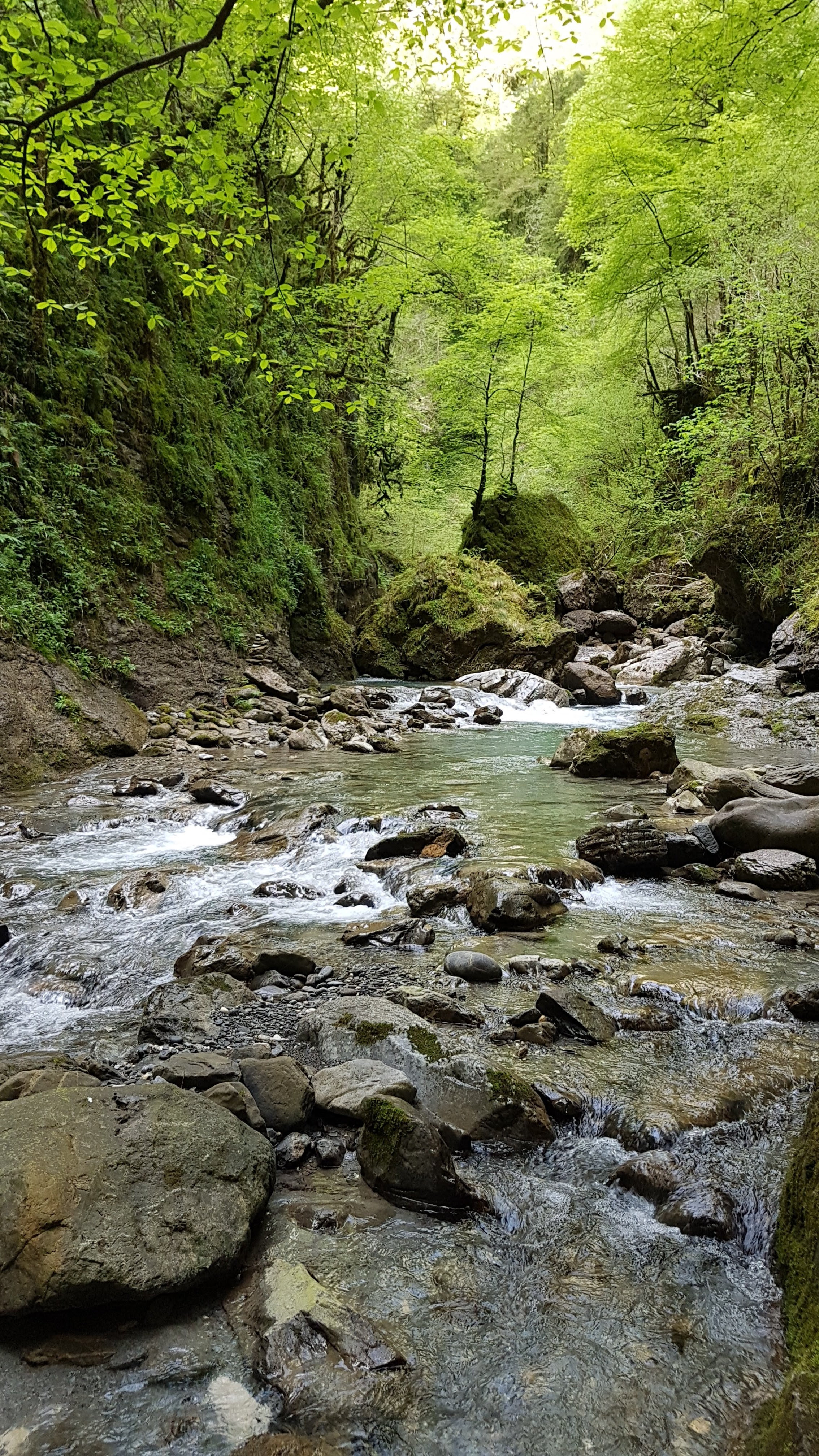 Photo n° 25 de l'avis de Olivier.t fait le 03/05/2018 à 05:59
