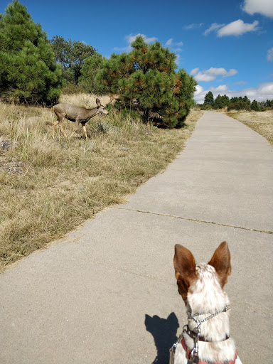 Park «Rudy Park», reviews and photos, 5360 Cracker Barrel Cir, Colorado Springs, CO 80917, USA