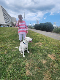 Sitters by the Sea - Pet & House Sitting Services - Photo 8 - Car repair in , Virginia Beach