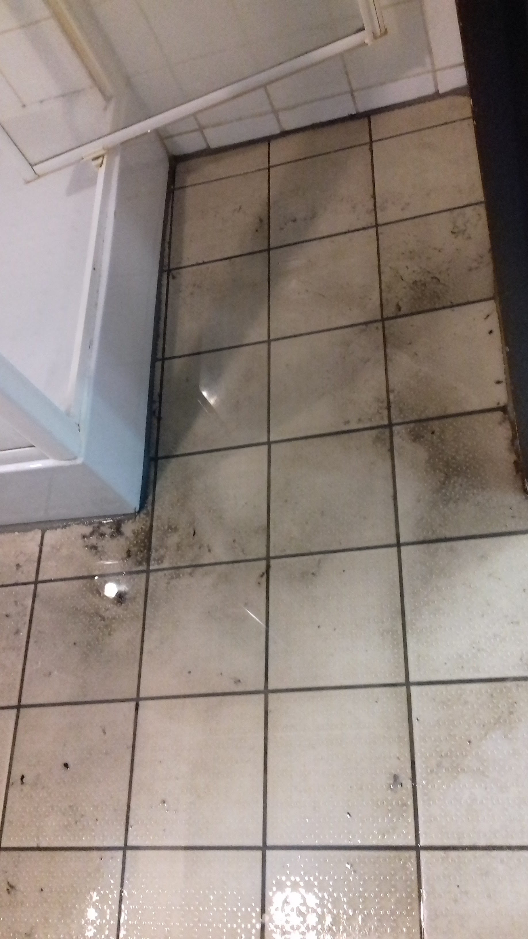 Photo n° 2 de l'avis de Willam.a fait le 06/04/2019 à 17:13