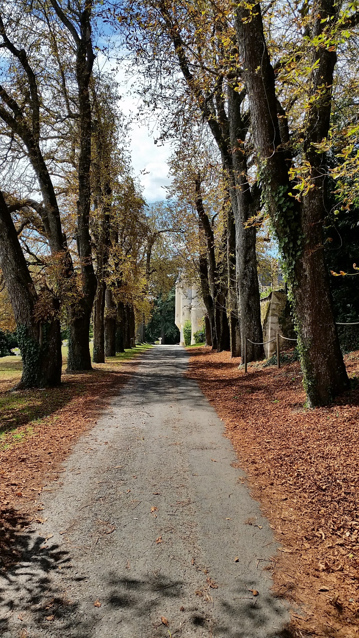 Photo n° 1 de l'avis de jean-pascal.e fait le 18/08/2017 à 20:55