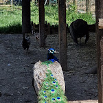 Photo n°3 de l'avis de gabriele.u fait le 15/05/2023 à 14:40 sur le  Agriturismo Luna à Marudo