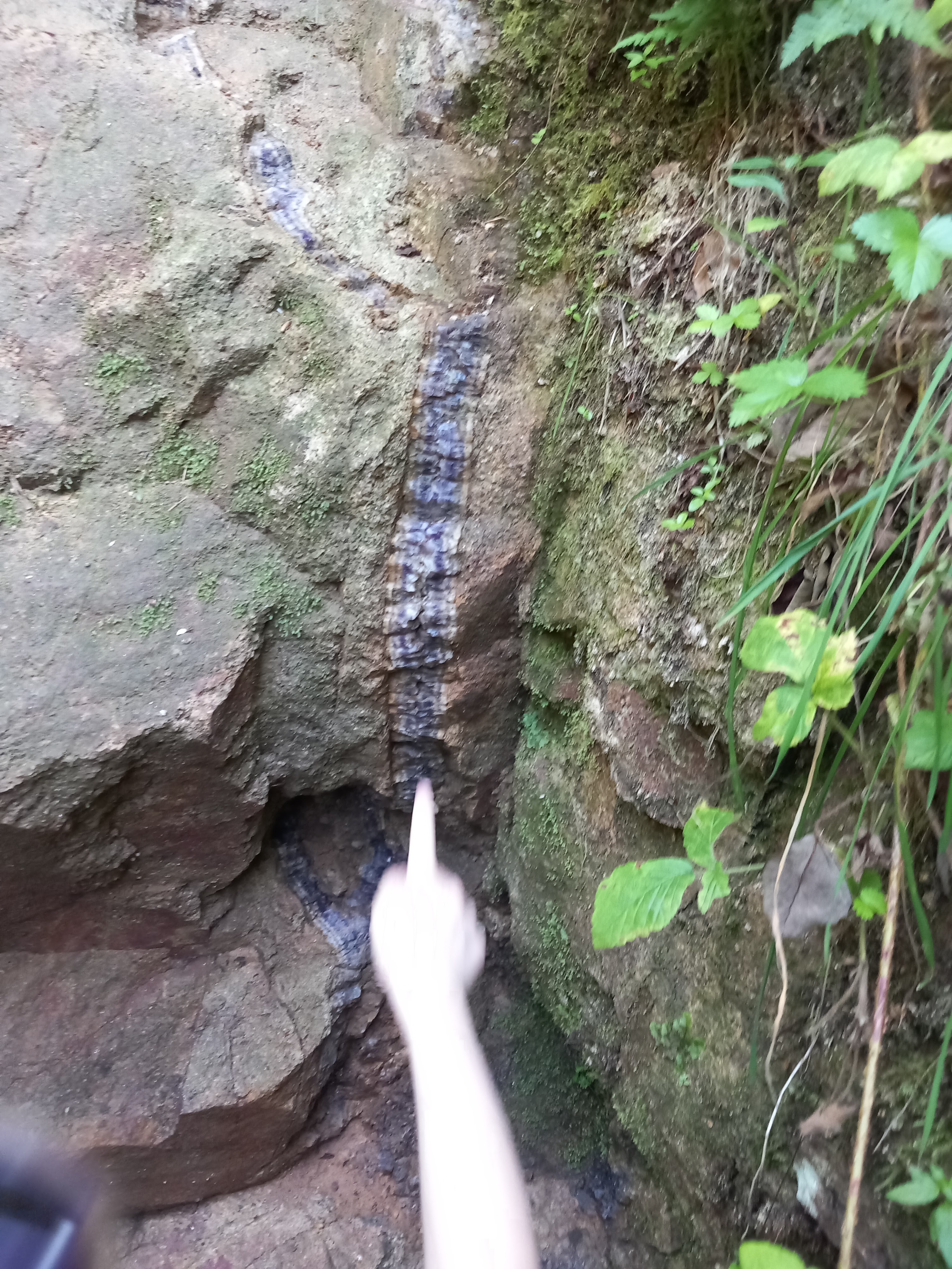 Photo n° 4 de l'avis de jeux.t fait le 31/07/2023 à 17:40