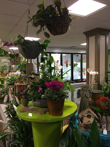 Florist «Flowerama», reviews and photos, 3111 Babcock Blvd, Pittsburgh, PA 15237, USA