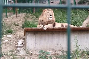 Parku Zoologjik i Tiranës image