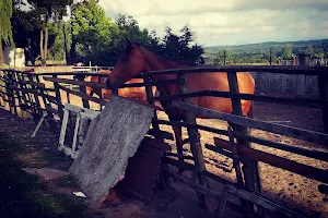 Sivişoğlu Mesire Alanı image