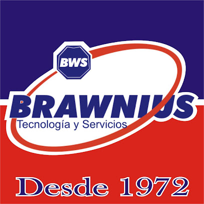 Brawnius Tecnología & Servicios