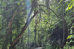 Kawarau Falls Scenic Reserve