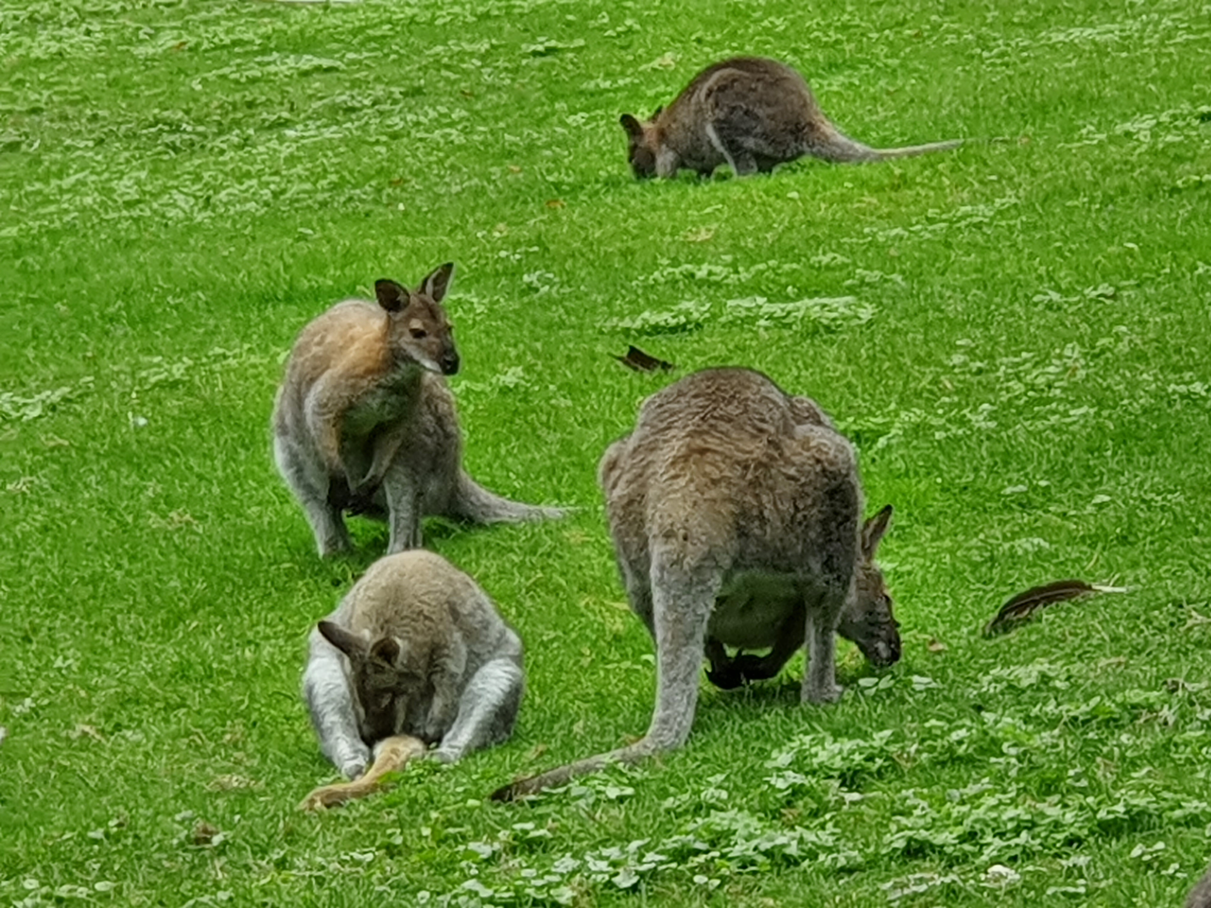 Photo n° 5 de l'avis de joel.e fait le 20/08/2021 à 20:39