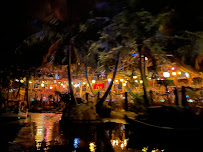 Pirates of the Caribbean du Captain Jack's - Restaurant des Pirates à Chessy - n°19