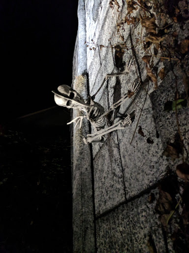 Tourist Attraction «Davis Graveyard», reviews and photos, 8703 SE 43rd Ave, Milwaukie, OR 97222, USA