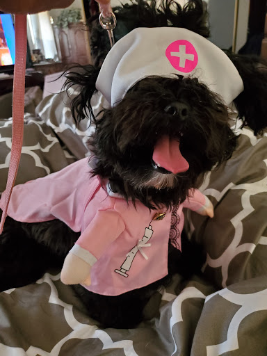 Pet Supply Store «PetSmart», reviews and photos, 4824 211th St, Matteson, IL 60443, USA