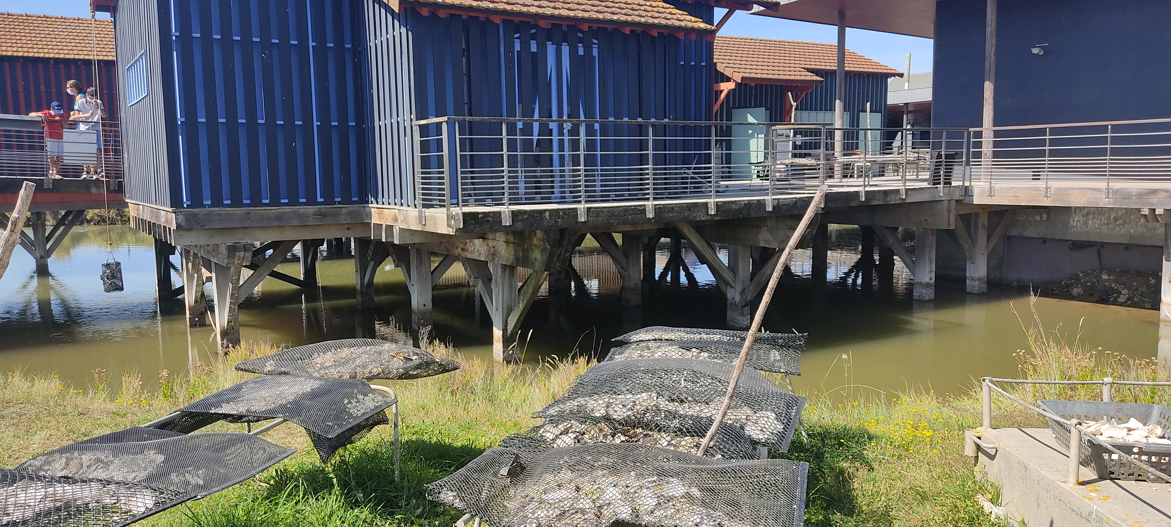 Photo n° 3 de l'avis de Florian.i fait le 21/08/2021 à 07:44