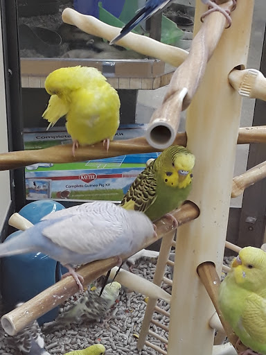 Pet Supply Store «Petco Animal Supplies», reviews and photos, 3636 Harrison Ave b, Butte, MT 59701, USA