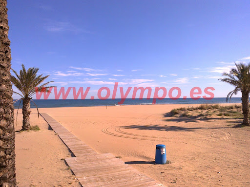 Inmobiliaria Olympo. Venta y alquiler apartamentos Playa de Gandia en Platja de Gandia