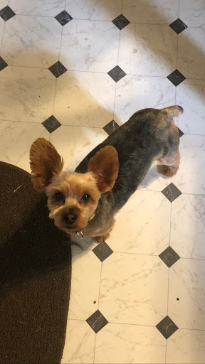 Pet Supply Store «Petco Animal Supplies», reviews and photos, 178 Township Blvd, Camillus, NY 13031, USA