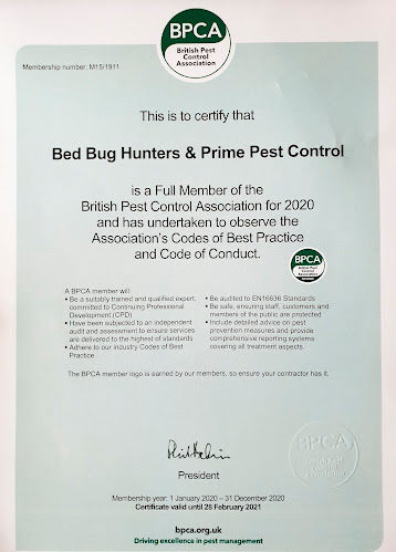 Bed Bug Hunters - Colchester