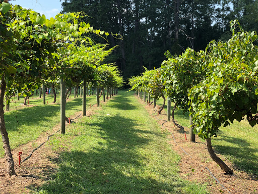 Herndon Hills Farm