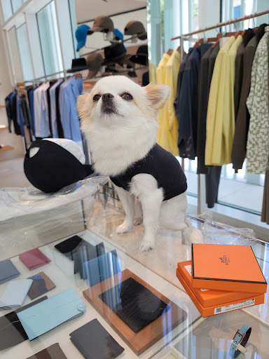 Leather Goods Store «Hermès», reviews and photos, 163 NE 39th St, Miami, FL 33137, USA