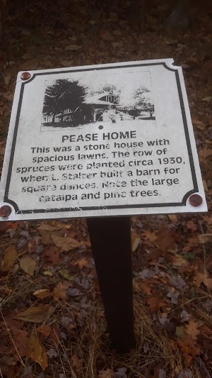 Bald Mountain - photo 14