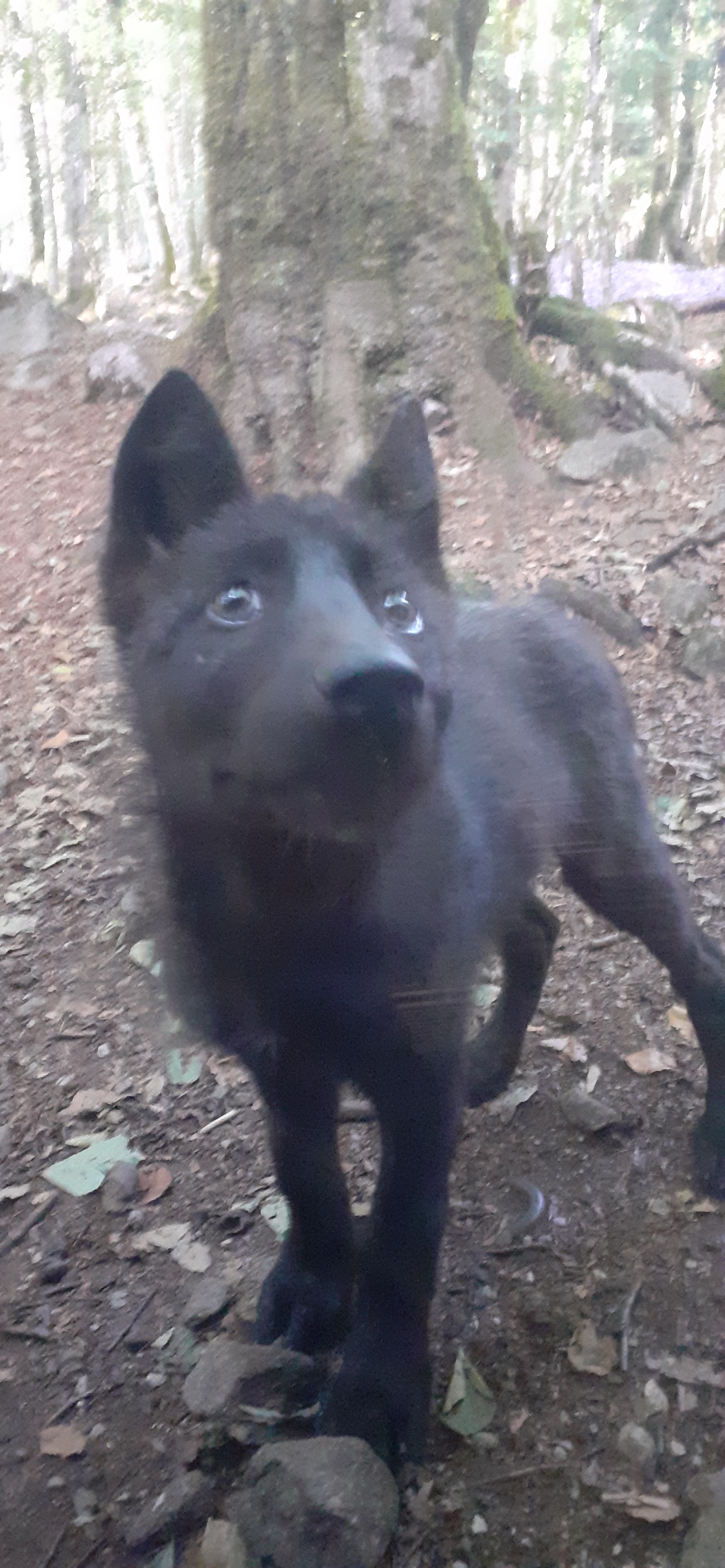 Photo n° 2 de l'avis de Orientale.v fait le 02/08/2022 à 16:21